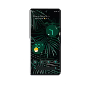 google pixel 6 pro